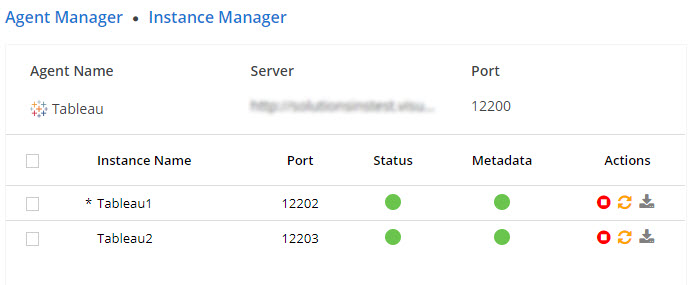 Instance Manager