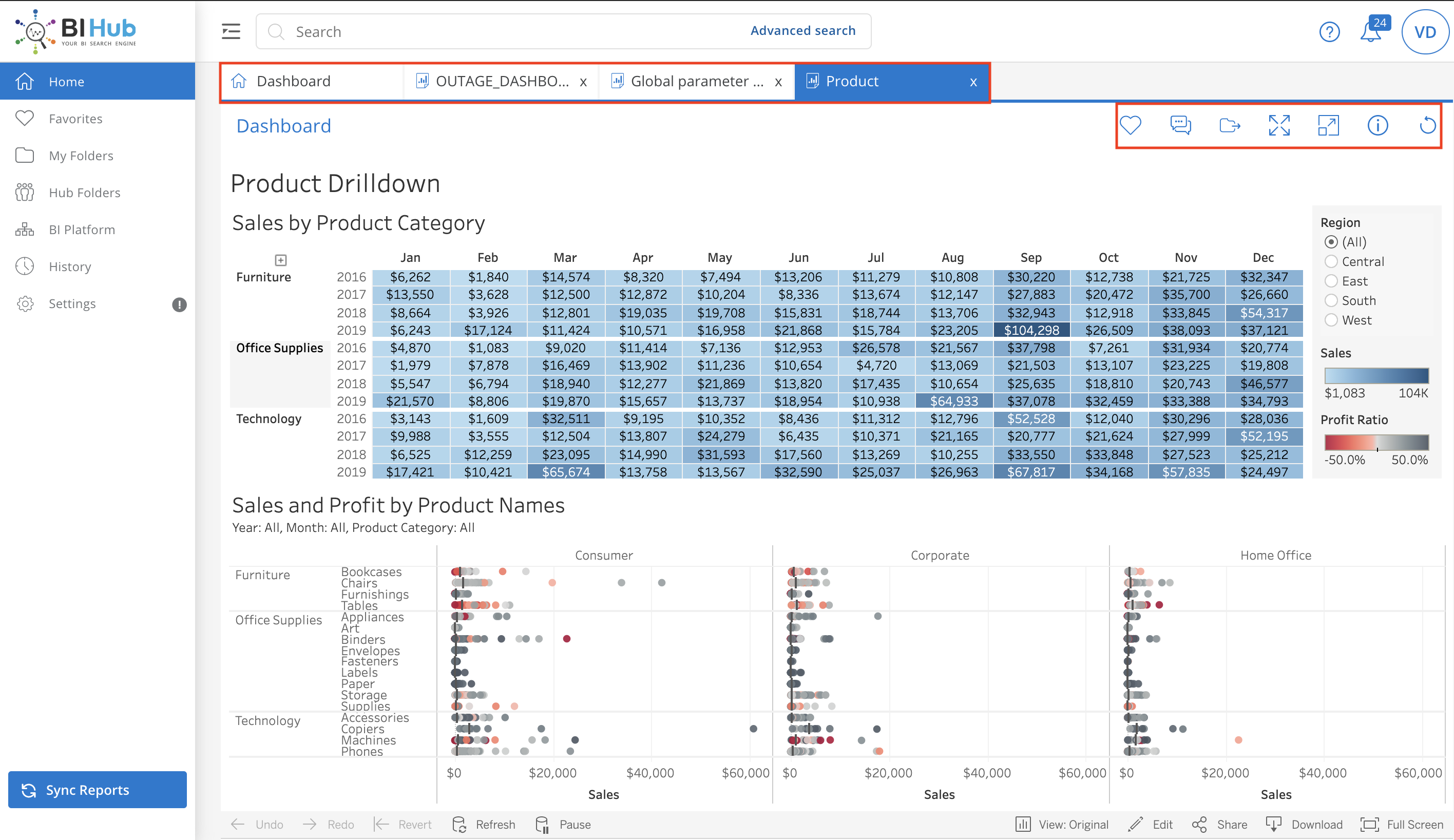 Report Tab view in BI Hub Application